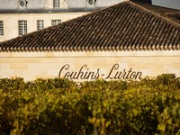 image Couhins-Lurton entrée