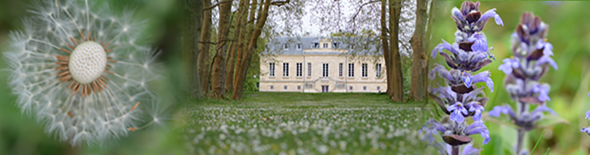 Château La Louvière -Les Estivales 2017